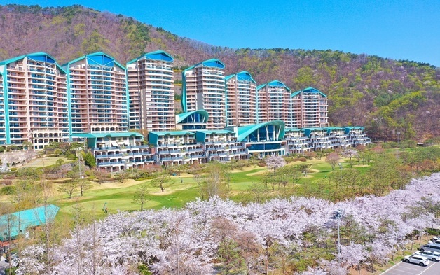 "봄꽃 명소 따라 떠나요"…소노인터내셔널 '소노 스프링 에디션' 선봬