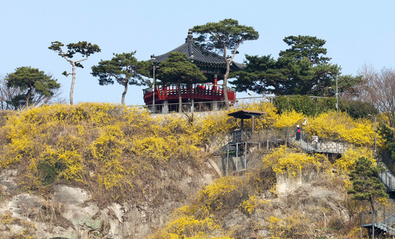 최고 24도 '3월 초여름'…서풍 탄 고온 기류, 주말까지 '쑥'