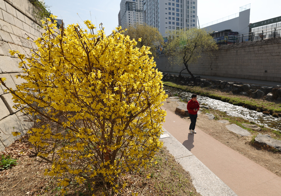 [오늘의 날씨] 울산(26일, 목)…맑음, 낮 최고 19도 '포근'