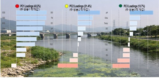 낙동강 수질 오염 원인은…"유기물·부영양화 영향"