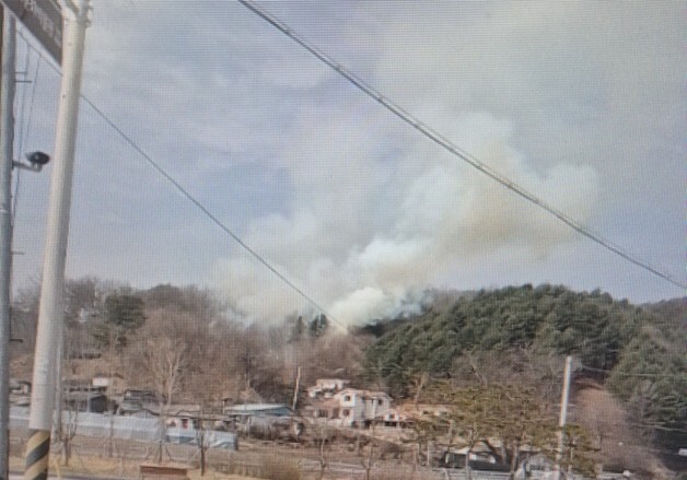 제천 봉양읍 야산서 불…인명 피해 없어