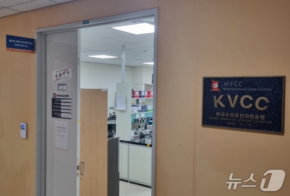 본문 이미지 - 농림축산검역본부 반려동물질환연구실 ⓒ 뉴스1