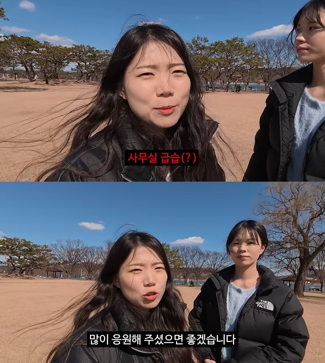 본문 이미지 - ('충주시' 유튜브 갈무리)