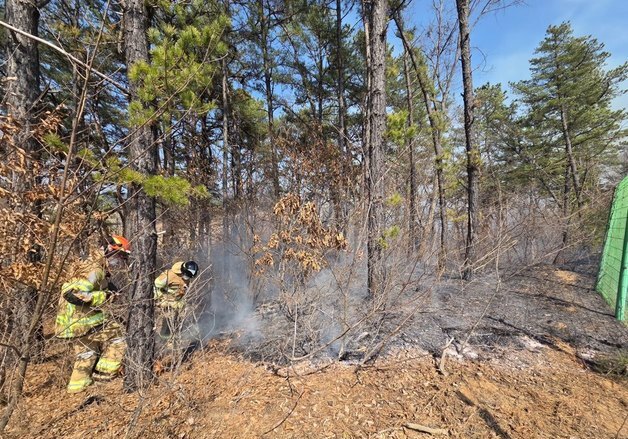 '태양광 설비에서 발화?'…여주 강천면 야산서 불, 임야 1500㎡ 소실
