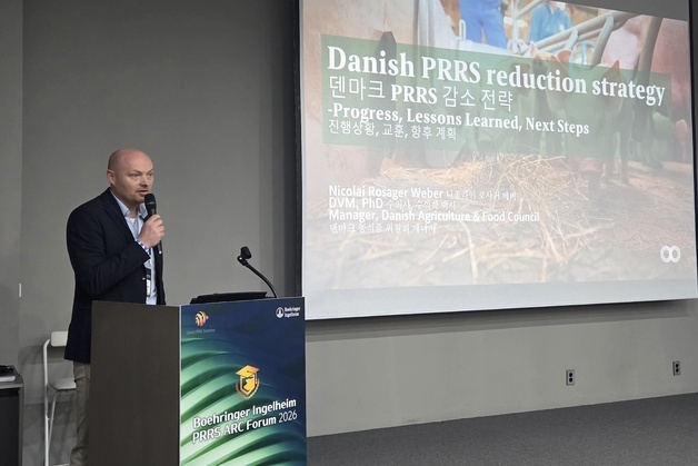 덴마크는 어떻게 PRRS 잡았나…돼지 질병 해법은 '지역 협력'