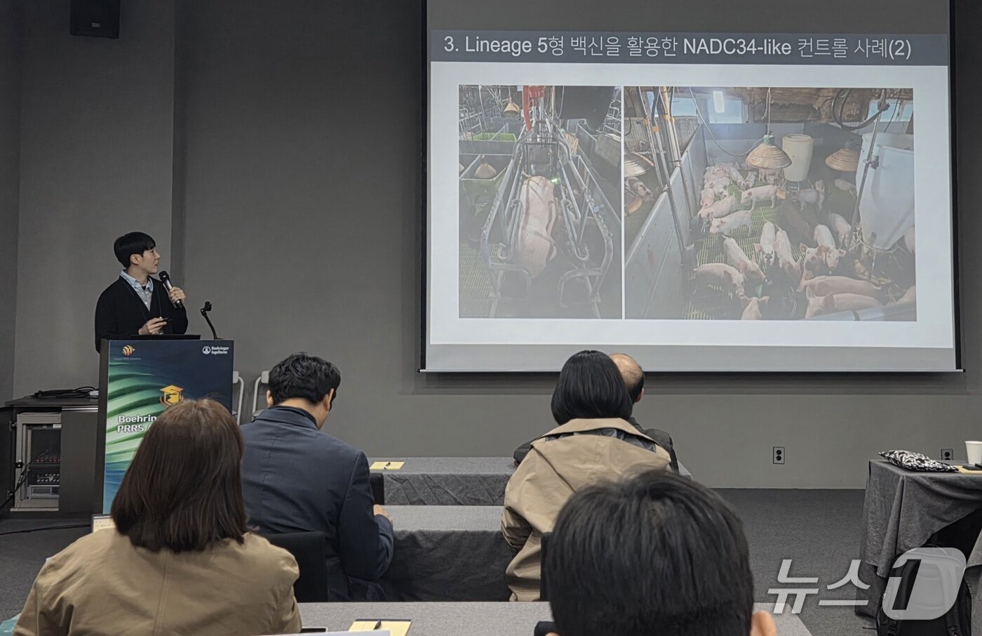 본문 이미지 - 김정희 유니동물병원 원장이 국내 PRRS 발생 동향을 주제로 발표하고 있다. ⓒ 뉴스1 한송아 기자