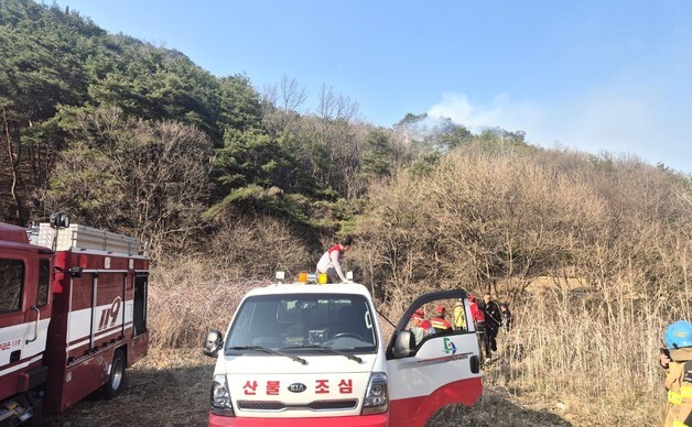 '낙엽 태우다가…' 제천·단양서 산불 잇따라(종합)