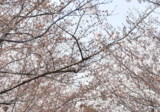 [오늘의 날씨]대구·경북(27일,금)…낮 최고 25도 초여름 날씨