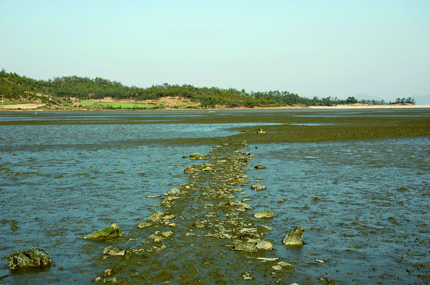 수백 년 어민 삶의 나침반 '물때', 국가무형유산 됐다