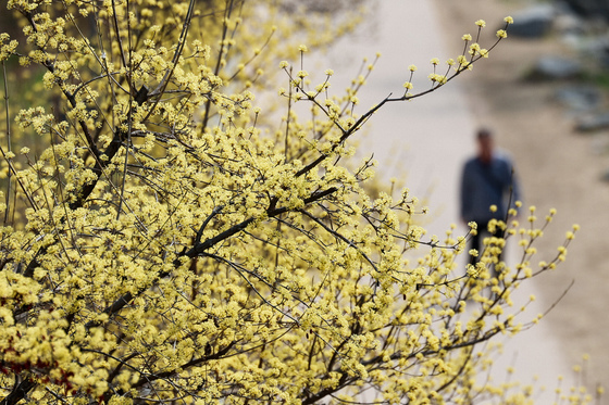 주말까지 최고 24.5도 '초여름 더위'…고기압 지붕 속 미세먼지 주의