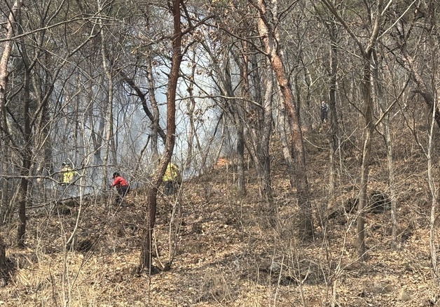 단양 영춘면 산불 주불 진화…"화목보일러 재 옮겨붙은 듯"