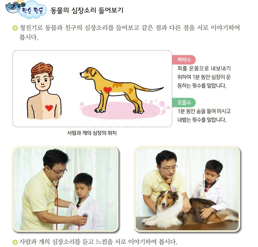 본문 이미지 - 대한수의사회가 제작한 동물보호교육 자료 중 일부(대한수의사회 제공) ⓒ 뉴스1