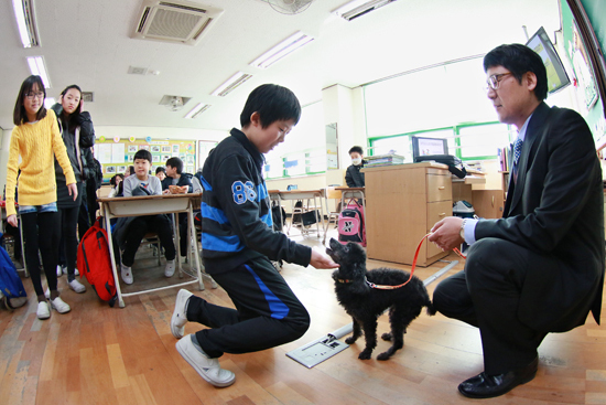 "심장 소리 들은 아이들, 달라졌다"…동물보호교육 다시 시작될까