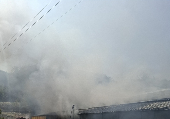 화순 염소 축사 화재…50마리 폐사