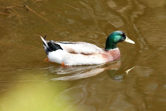등에는 따뜻한 봄햇살