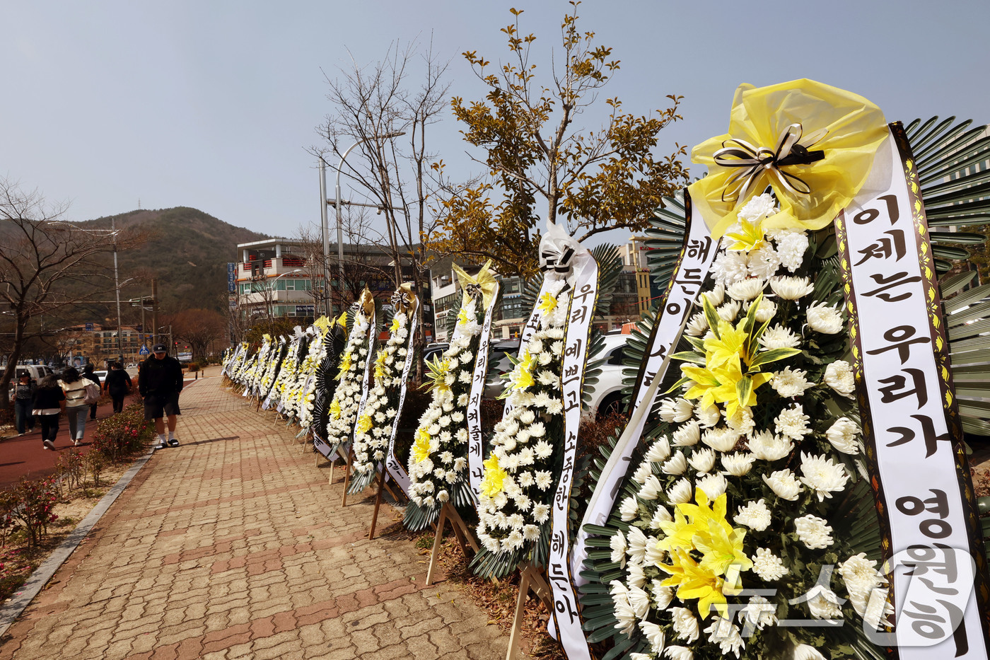 (순천=뉴스1) 박지현 기자 = 26일 광주지방법원 순천지원 앞 정문에서 부모의 학대로 숨진 생후 4월 아기 '해든이'를 위로하는 근조화환 140여 개가 놓여 있다.  2026.3 …