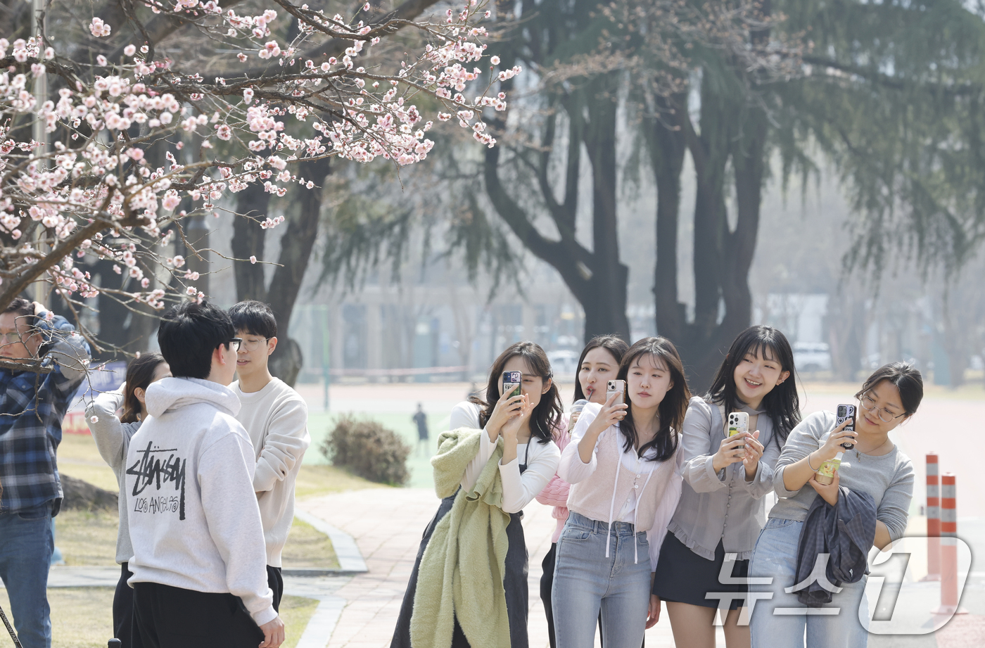 (광주=뉴스1) 김태성 기자 = 완연한 봄날씨를 보인 26일 광주 전남대학교 홍매화 앞에서 학생들이 사진을 찍으며 추억을 만들고 있다. 2026.3.26/뉴스1