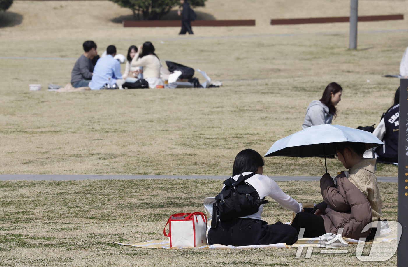 (광주=뉴스1) 김태성 기자 = 완연한 봄날씨를 보인 26일 광주 전남대학교 도서관앞 잔디에는 학생들이 햇살을 만끽하며 여유를 즐기고 있다. 2026.3.26/뉴스1