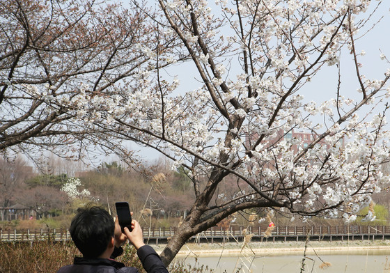 따스한 햇살에 일찍 터진 꽃망울…가벼워진 옷차림 봄기운 만끽