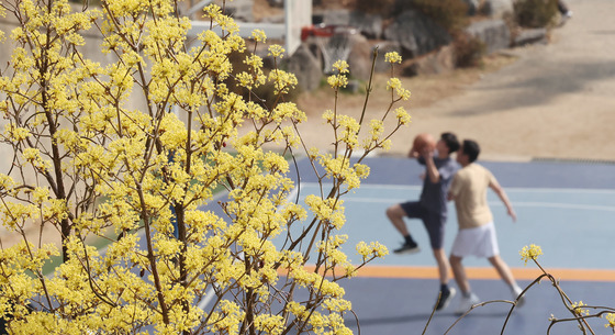 [오늘의 날씨] 부산·경남(27일, 금)…일교차 15~20도, 낮 최고 24도