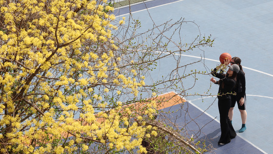 봄날씨 즐기며 농구