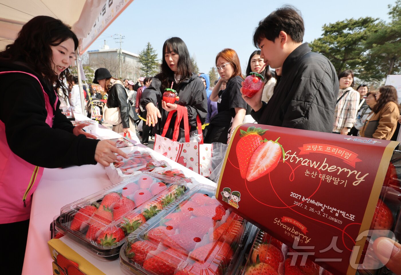 본문 이미지 - 충남 논산 딸기축제가 개막한 26일 논산시민가족공원 행사장에서 관광객이 딸기를 구매하고 있다. 2026.3.26 ⓒ 뉴스1 김기태 기자