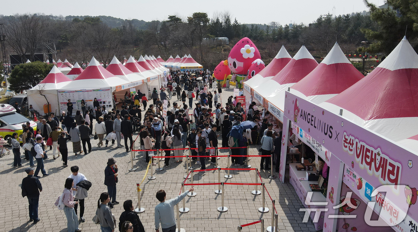 (논산=뉴스1) 김기태 기자 = 충남 논산 딸기축제가 개막한 26일 논산시민가족공원 행사장이 관광객들로 붐비고 있다. 2026.3.26/뉴스1