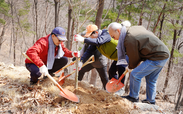 서산시, 식목일 앞두고 단풍나무 220그루 식재