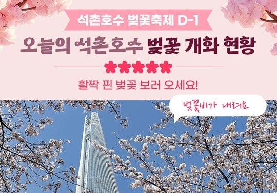 송파구, 석촌호수 벚꽃 개화 SNS로 실시간 중계