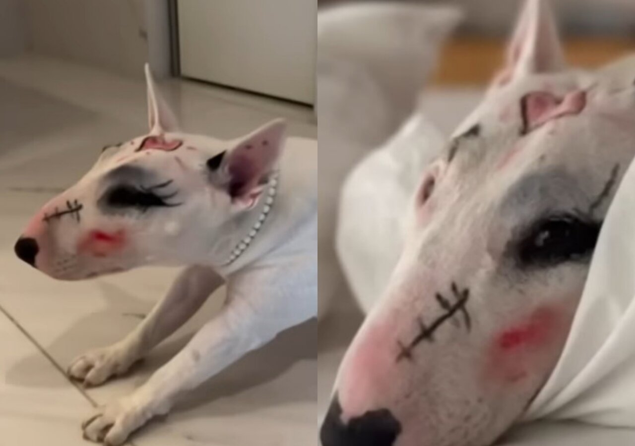 본문 이미지 - 이혜영 인스타그램