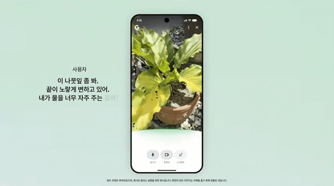 본문 이미지 - 스마트폰 카메라로 눈앞의 상황을 비추면 인공지능(AI)과 실시간 대화하며 정보를 찾을 수 있는 구글의 새로운 검색 서비스 '서치 라이브' (구글 블로그 갈무리)