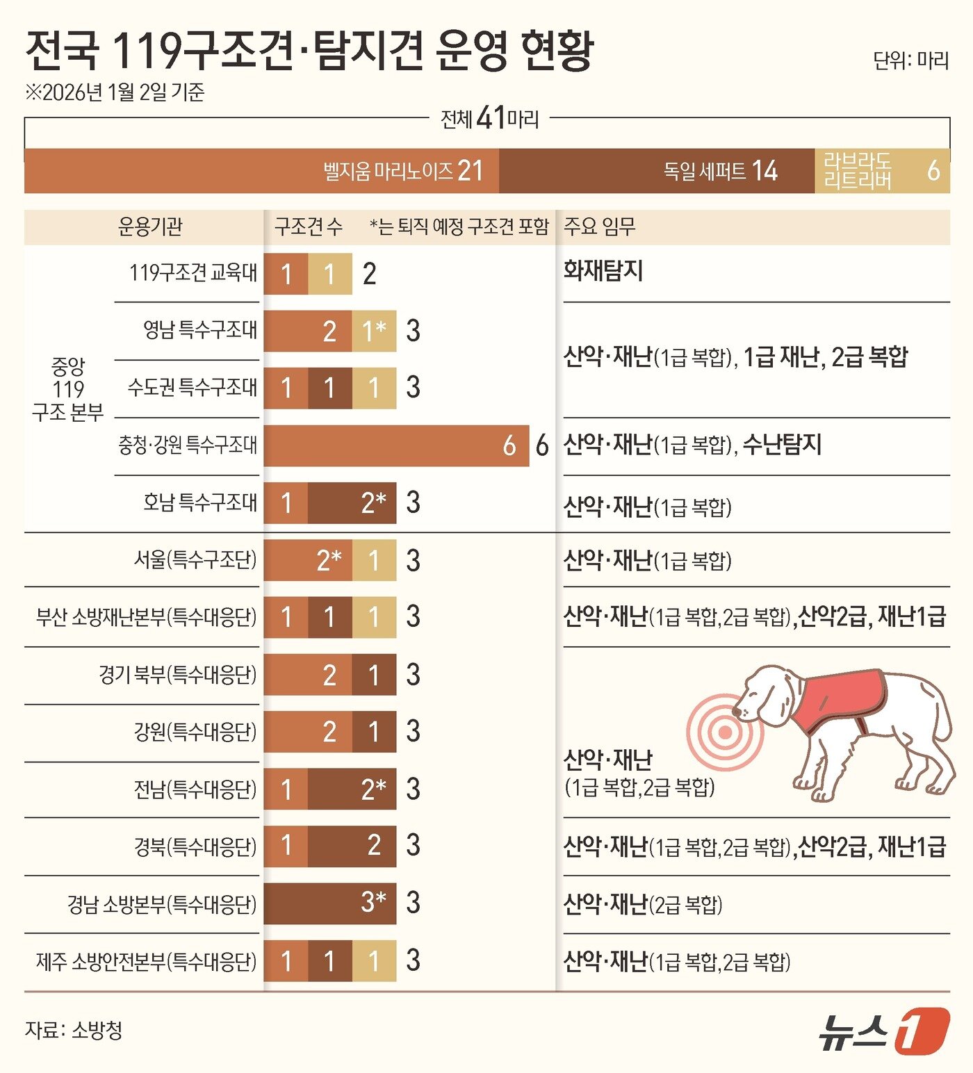 본문 이미지 - ⓒ 뉴스1 김초희 디자이너