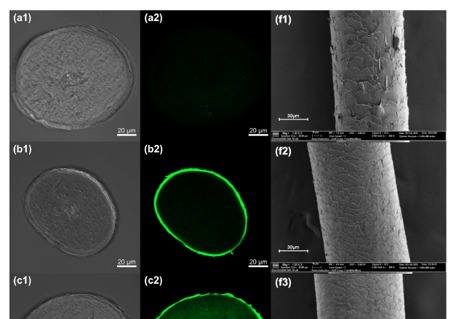 아모레퍼시픽, AI 기반 모발 강화 펩타이드 개발…국제 학술지 게재