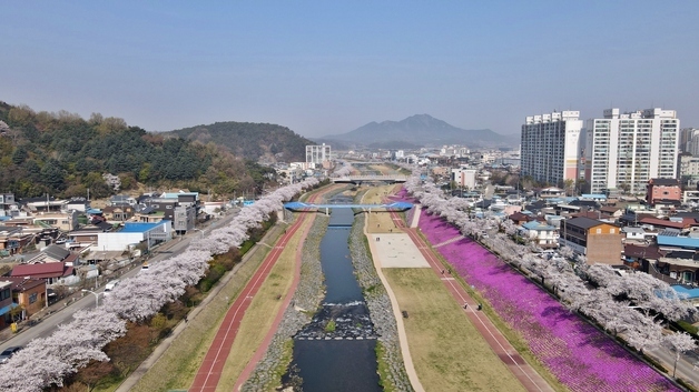 '정읍 벚꽃축제' 4월3일 개막…정승환·민경훈 등 인기가수 출격