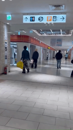 본문 이미지 - 26일 일본 도쿄 이케부쿠로의 상업 시설 '선샤인 시티'에서 한 남성이 흉기 난동을 부리면서 직원 및 시민들이 대피하고 있다. (출처=엑스(X))