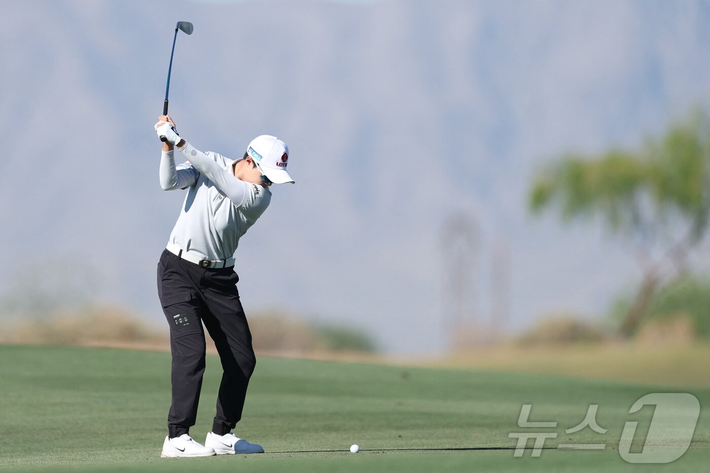 본문 이미지 - 김효주. ⓒ AFP=뉴스1