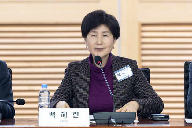 서영교·박정 이어 백혜련 '원내대표 불출마'…"주어진 역할 최선"