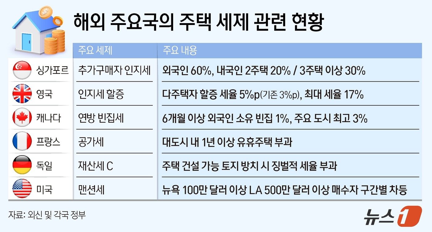 본문 이미지 - ⓒ 뉴스1 양혜림 디자이너