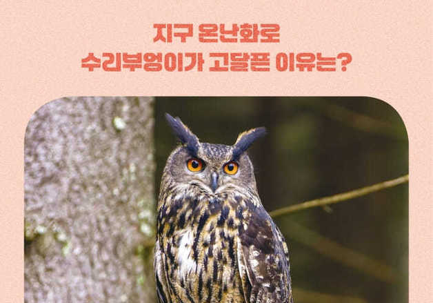 수리부엉이·넓적부리도요·감돌고기…멸종 위기의 야생동물