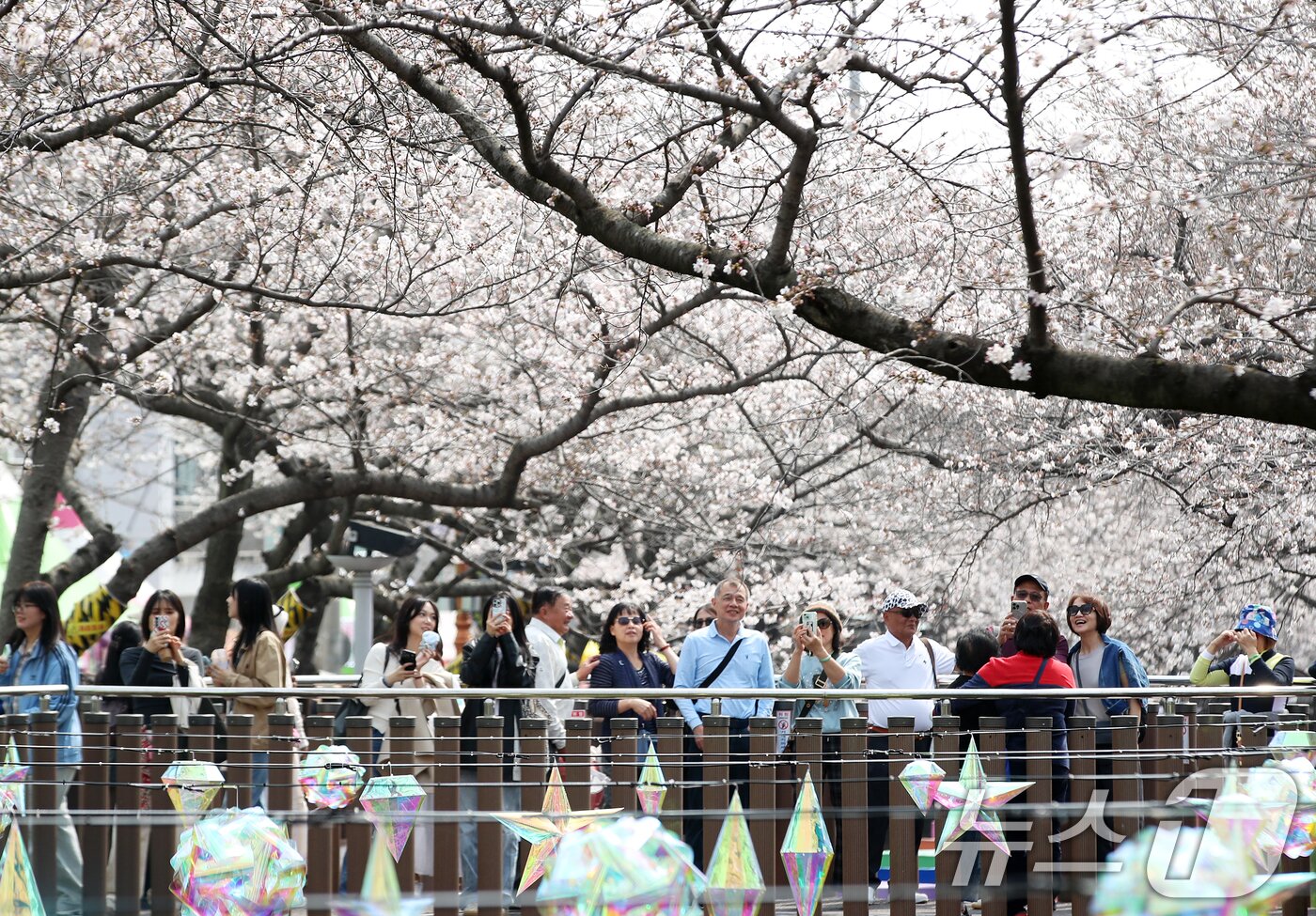 본문 이미지 - 전국 최대 벚꽃 축제인 '제64회 진해군항제'가 개막한 27일 경남 창원 진해구 여좌천을 찾은 관광객들이 벚꽃을 감상하고 있다. 제64회 진해군항제는 이날부터 4월 5일까지 10일간 진해구 전역에서 진행된다. 2026.3.27 ⓒ 뉴스1 윤일지 기자