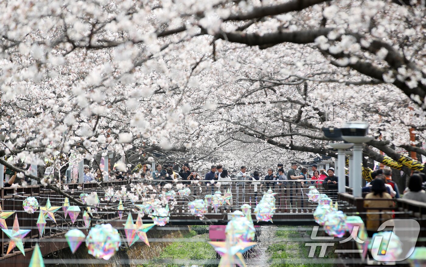 본문 이미지 - 전국 최대 벚꽃 축제인 '제64회 진해군항제'가 개막한 27일 경남 창원 진해구 여좌천을 찾은 관광객들이 벚꽃을 감상하고 있다. 제64회 진해군항제는 이날부터 4월 5일까지 10일간 진해구 전역에서 진행된다. 2026.3.27 ⓒ 뉴스1 윤일지 기자