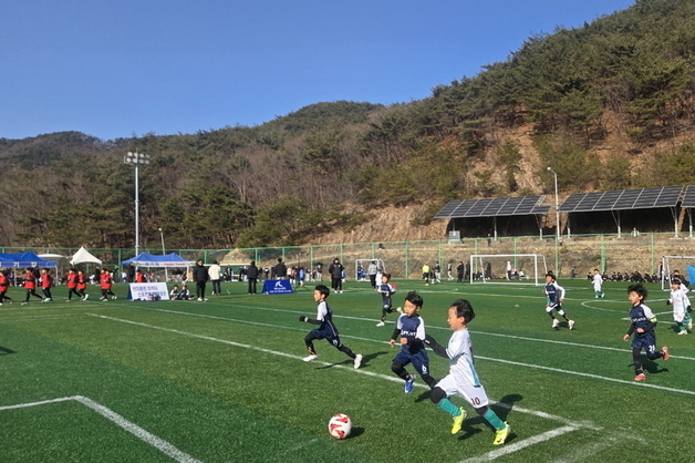 '스포츠 메카' 보은군 들썩…봄철 11개 전국 단위 체육대회 개최