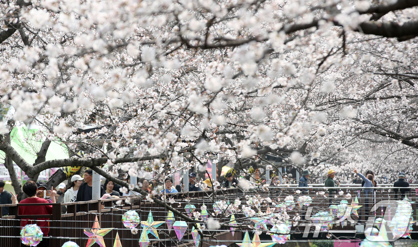 (창원=뉴스1) 윤일지 기자 = 전국 최대 벚꽃 축제인 '제64회 진해군항제'가 개막한 27일 경남 창원 진해구 여좌천을 찾은 관광객들이 벚꽃을 감상하고 있다.제64회 진해군항제는 …