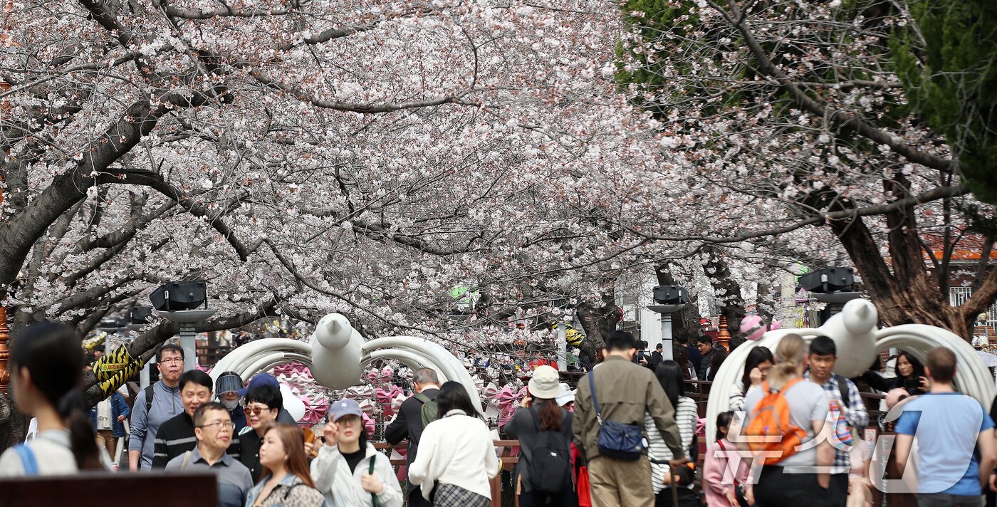 본문 이미지 - 전국 최대 벚꽃 축제인 '제64회 진해군항제'가 개막한 27일 경남 창원 진해구 여좌천을 찾은 관광객들이 벚꽃을 감상하고 있다. 제64회 진해군항제는 이날부터 4월 5일까지 10일간 진해구 전역에서 진행된다. 2026.3.27 ⓒ 뉴스1 윤일지 기자
