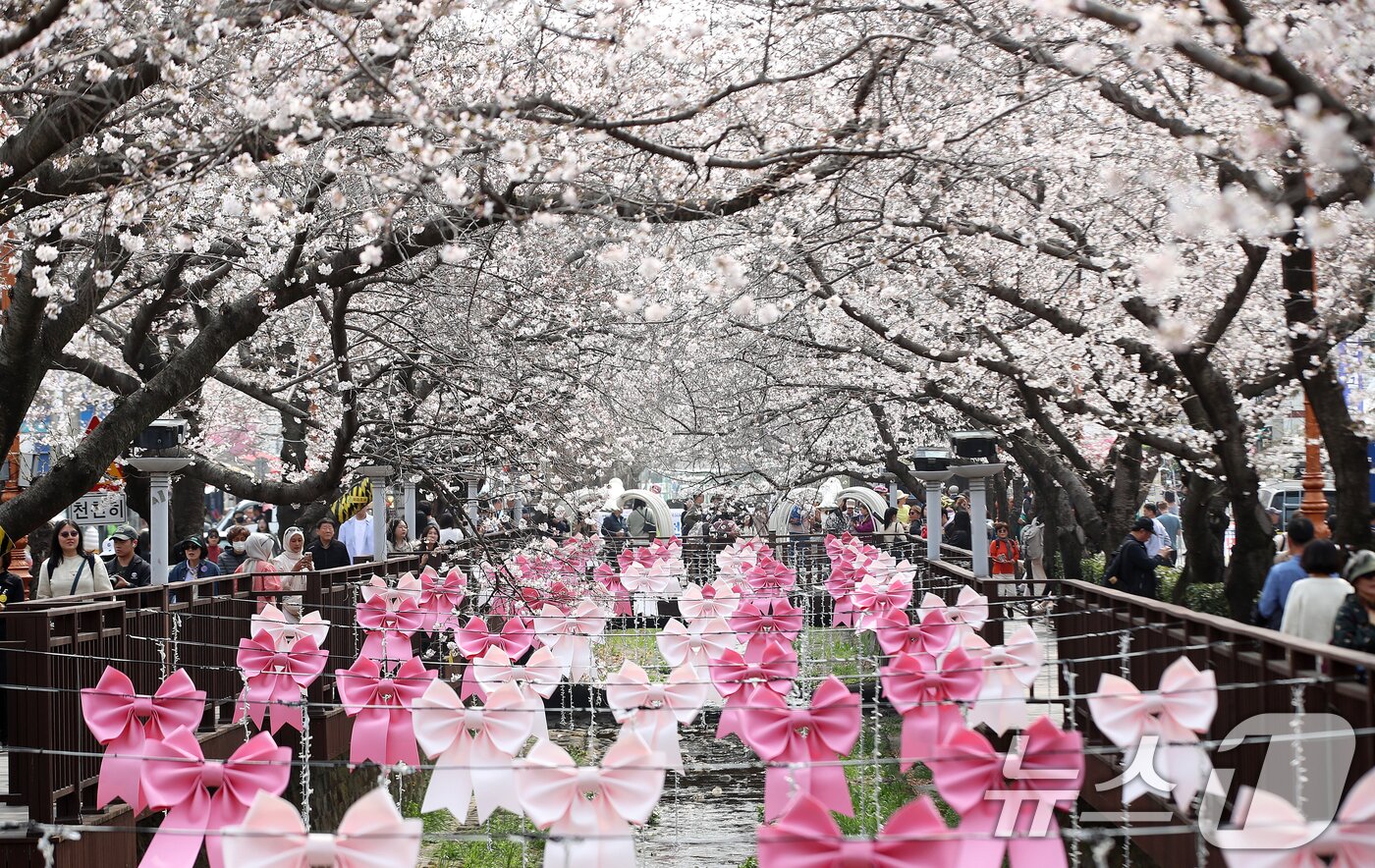 본문 이미지 - 전국 최대 벚꽃 축제인 '제64회 진해군항제'가 개막한 27일 경남 창원 진해구 여좌천을 찾은 관광객들이 벚꽃을 감상하고 있다. 제64회 진해군항제는 이날부터 4월 5일까지 10일간 진해구 전역에서 진행된다. 2026.3.27 ⓒ 뉴스1 윤일지 기자