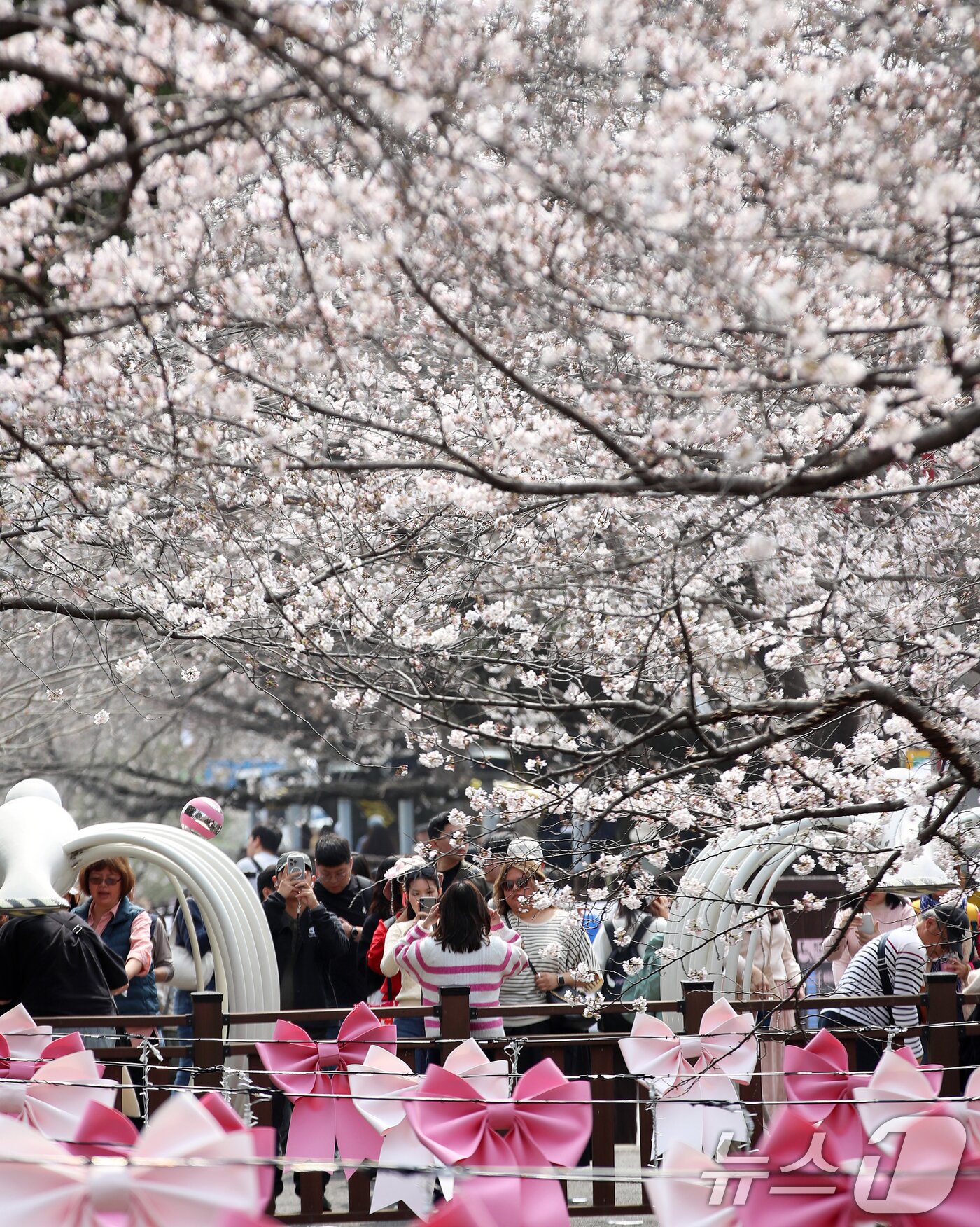본문 이미지 - 전국 최대 벚꽃 축제인 '제64회 진해군항제'가 개막한 27일 경남 창원 진해구 여좌천을 찾은 관광객들이 벚꽃을 감상하고 있다. 제64회 진해군항제는 이날부터 4월 5일까지 10일간 진해구 전역에서 진행된다. 2026.3.27 ⓒ 뉴스1 윤일지 기자