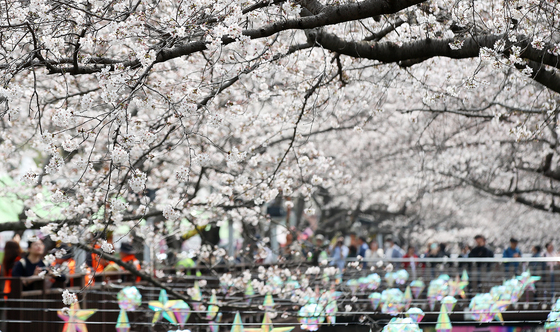 3월 마지막 일요일 봄날씨…미세먼지 '나쁨'·큰 일교차[내일날씨]