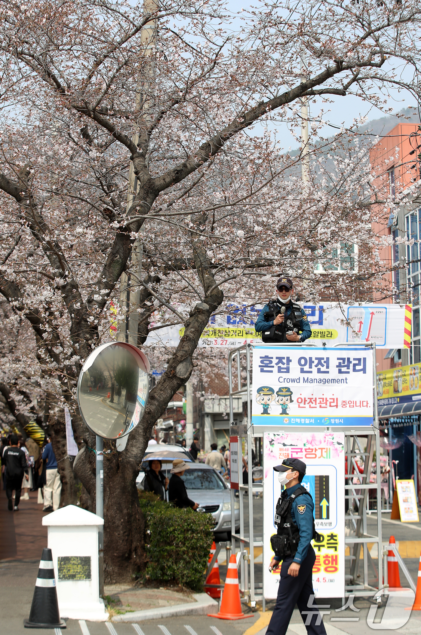 (창원=뉴스1) 윤일지 기자 = 전국 최대 벚꽃 축제인 '제64회 진해군항제'가 개막한 27일 경남 창원 진해구 여좌천 일대에서 경남경찰이 혼잡 안전 관리를 하고 있다. 2026. …