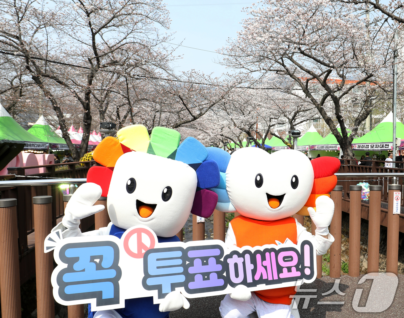 (창원=뉴스1) 윤일지 기자 = 27일 진해군항제가 열리고 있는 경남 창원 진해구 여좌천 로망스다리 인근에서 경남도선거관리위원회 관계자들이 6·3 지방선거를 앞두고 투표 참여 및 …