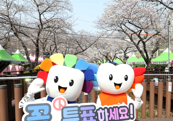 진해군항제서 선거 투표 참여 홍보 캠페인